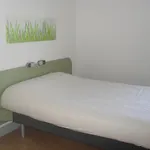 Ibis Budget Est La Giniesse